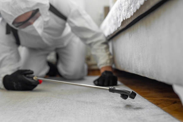 Professional Termite Control technician working in Kirkwood, MO
