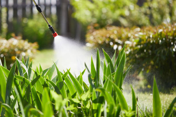 24/7 Emergency Termite Control experts in Kirkwood, MO