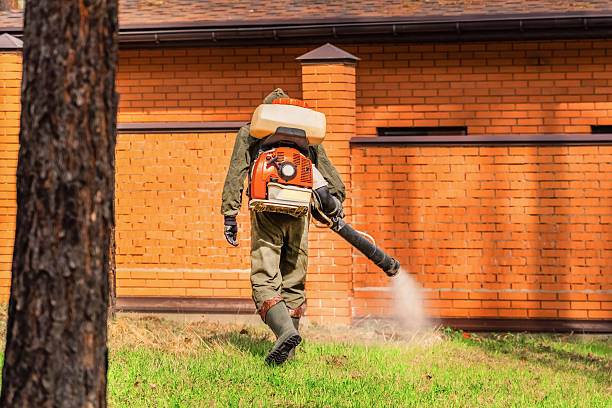 Trusted Termite Control service in Kirkwood, MO - Nex Pest Control